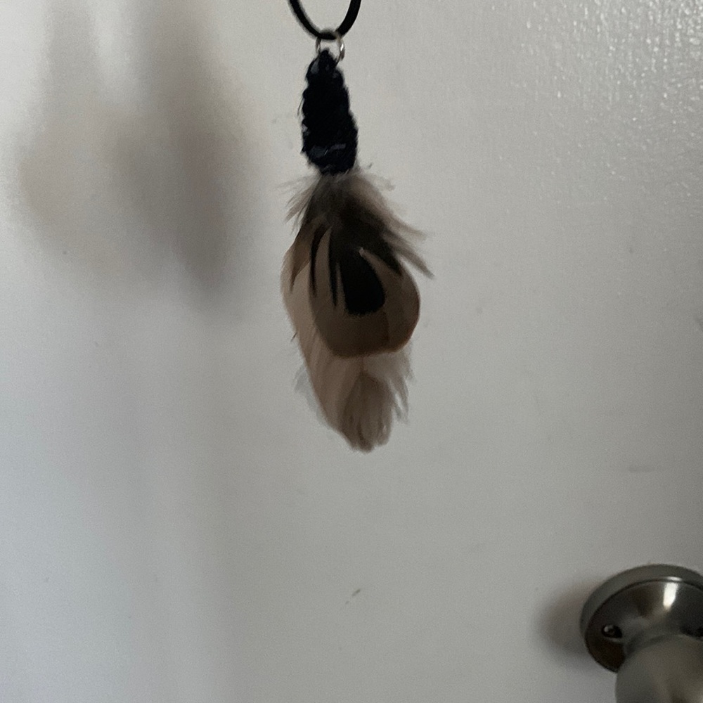 Homemade feather necklace